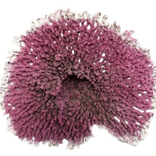 artificial corals XXL table acropora coral