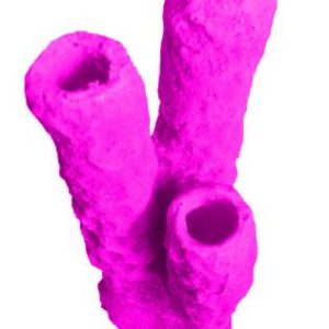 #629 Caribbean 3 Tube Sponge aquarium decorations - Image 11