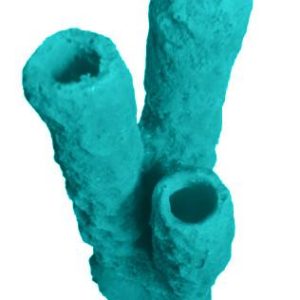 #629 Caribbean 3 Tube Sponge aquarium decorations - Image 12