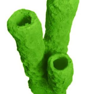 #629 Caribbean 3 Tube Sponge aquarium decorations - Image 14