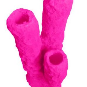 #629 Caribbean 3 Tube Sponge aquarium decorations - Image 16