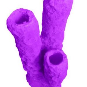 #629 Caribbean 3 Tube Sponge aquarium decorations - Image 18