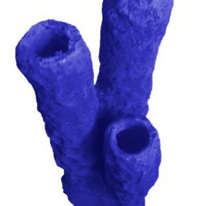 #629 Caribbean 3 Tube Sponge aquarium decorations - Image 2