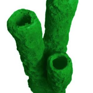 #629 Caribbean 3 Tube Sponge aquarium decorations - Image 3