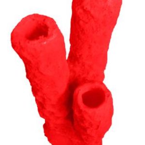 #629 Caribbean 3 Tube Sponge aquarium decorations - Image 5