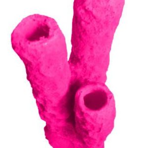 #629 Caribbean 3 Tube Sponge aquarium decorations - Image 8
