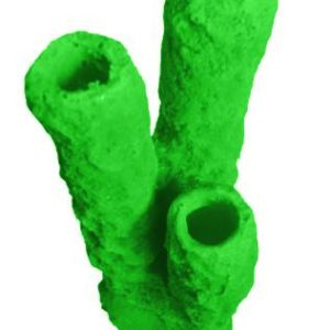 #629 Caribbean 3 Tube Sponge aquarium decorations - Image 9