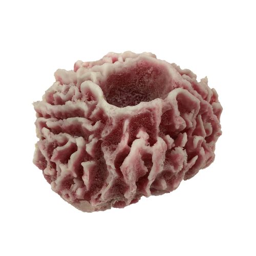 #635 Barrel Ridge sponge