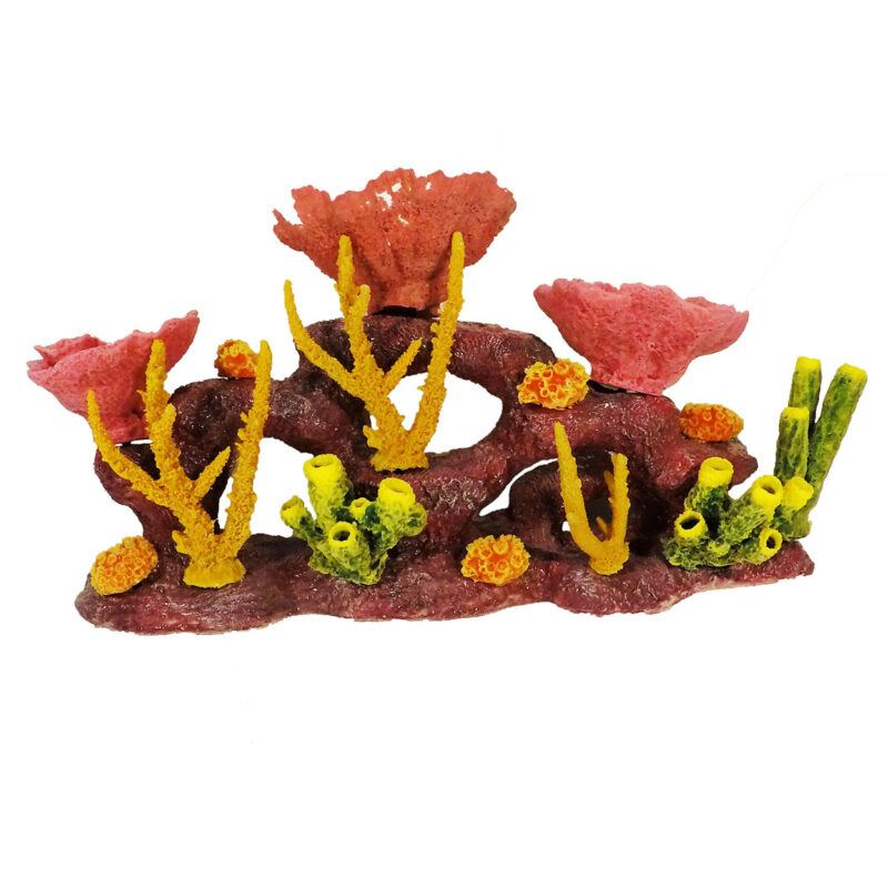 TEST ITEM - Image 3