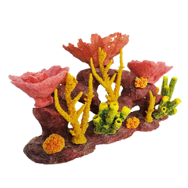 TEST ITEM - Image 2