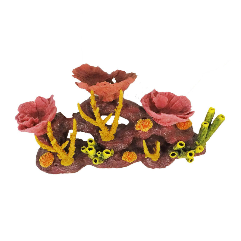 TEST ITEM - Image 4