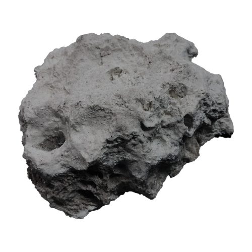 Flat Rock Base (For Various Sea Whips and Tall Sponges)