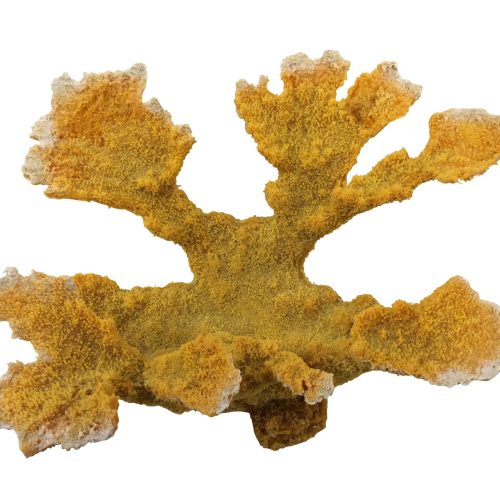 artificial coral xxl elkhorn coral Table #88