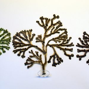 Bladder Wrack