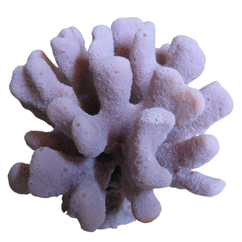 artificial coral medium club foot coral