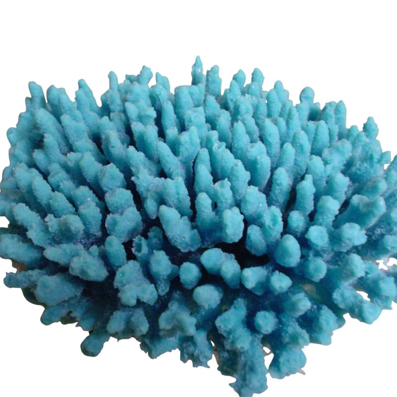 artificial corals finger medium cytherea table acropora