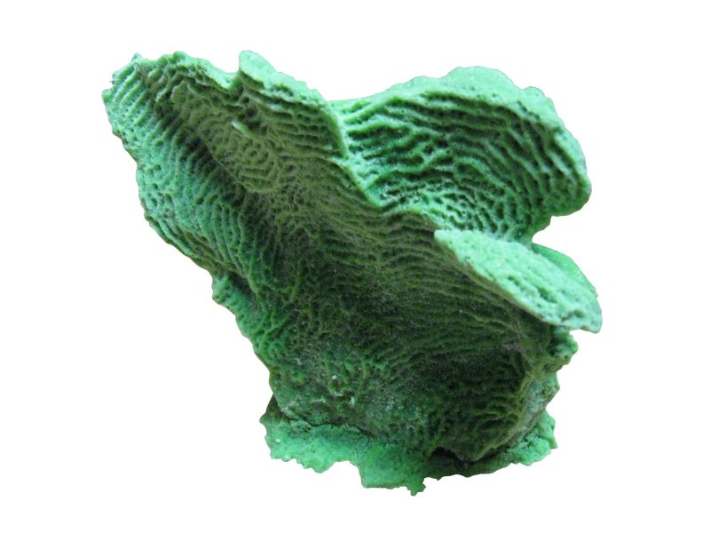 artificial coral medium lettuce coral