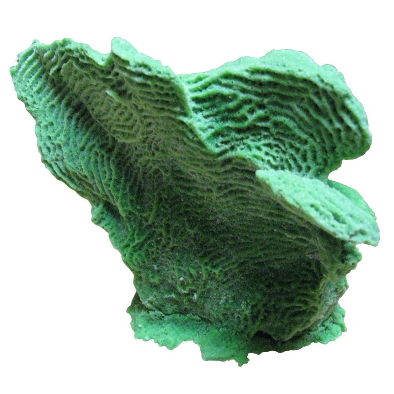 artificial coral medium lettuce coral