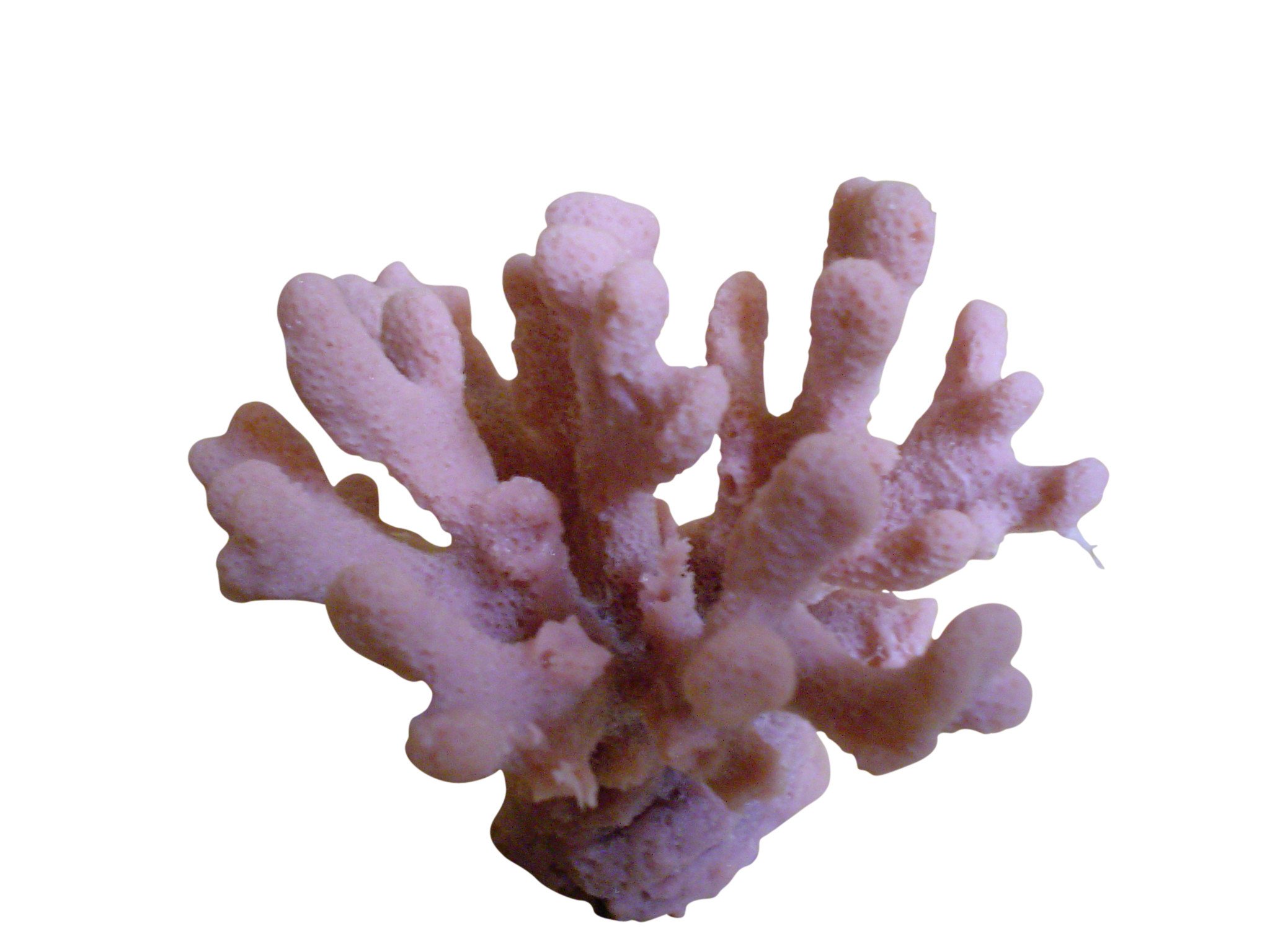 Artificial coral and custom aquarium decorations– RocknReefs Inc.