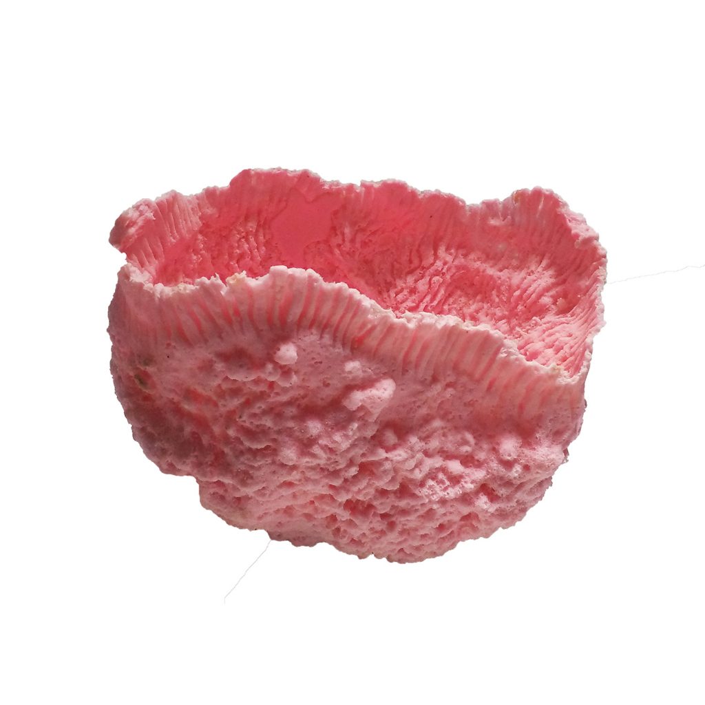 311 Sponge Vase Ocean Aquaria