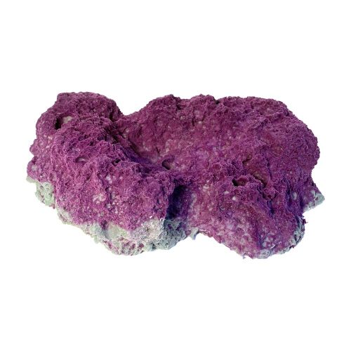 #1008 Small Concave Base Rock for Coral Plug-Ons