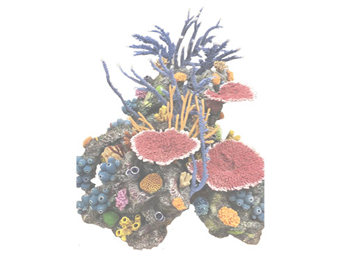 artificial custom corals reef