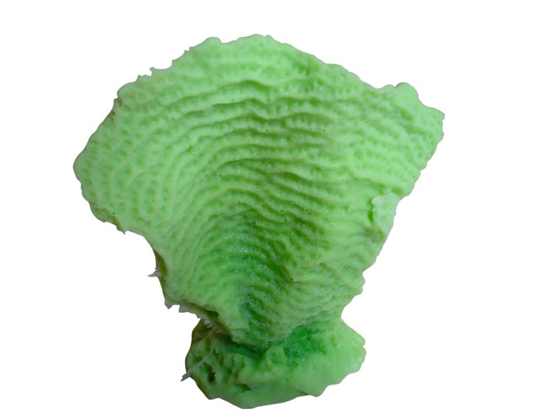 artificial coral mini lettuce coral agaricia