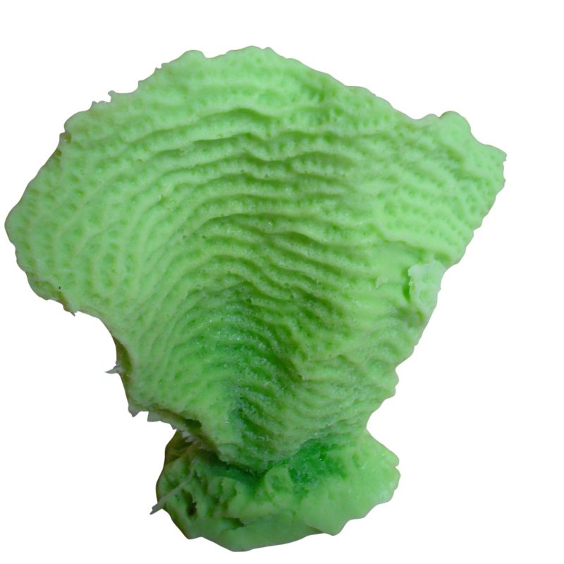 artificial coral mini lettuce coral agaricia