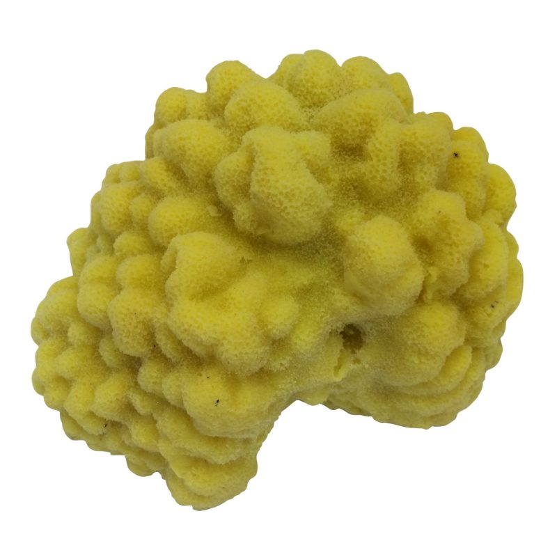 artificial corals mustard hill porites coral