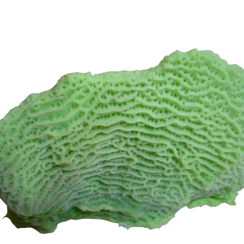 artificial coral single plate lettuce