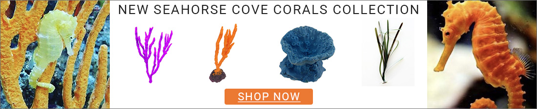 Seahorse Cove Corals Collection