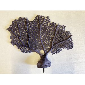 #385 Sea Fan - Image 4