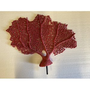 #385 Sea Fan - Image 5