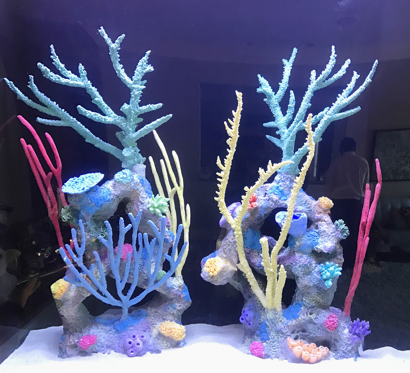 Freshwater Fish Aquarium with Artificial Coral Reef Tank Decorations -  YouTube