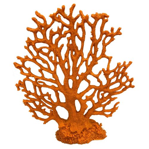 #701 Fire Coral Sea Fan