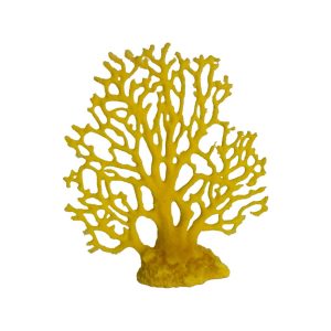 #701 Fire Coral Sea Fan - Image 3