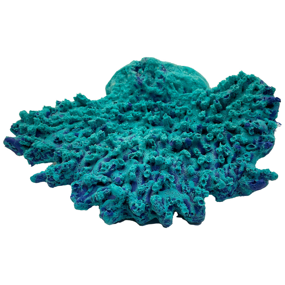 #128 Side Mount Table Coral | Ocean Aquaria