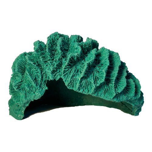 #255 Small Brain Coral Cave