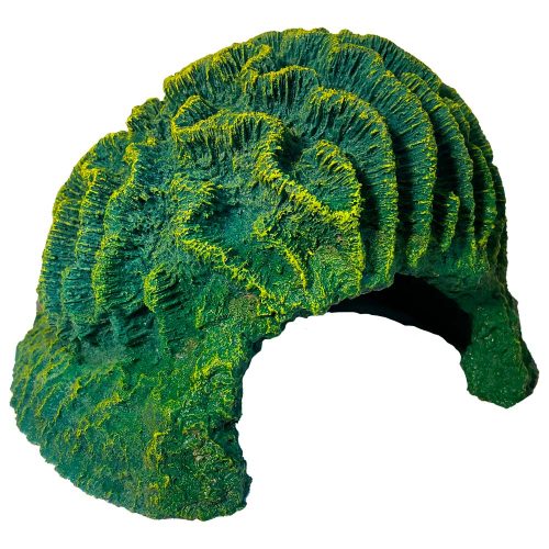 #256 XLG Brain Coral cave