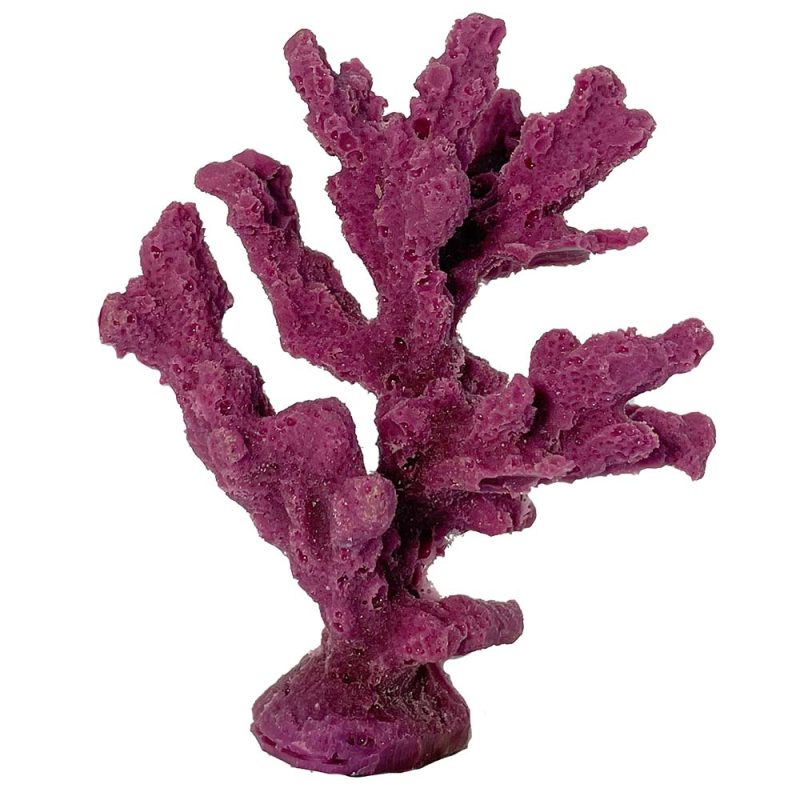 #92 Branch Coral | Ocean Aquaria