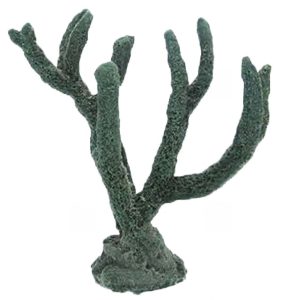 #98 Branch Coral - Image 2