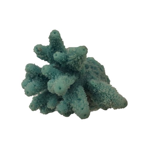 #0100 Mini Gem Acropora