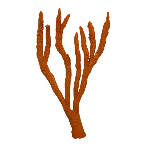 #12n Finger Claw Sponge