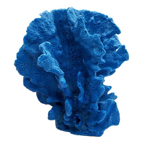 #524 Blue Ridge Coral