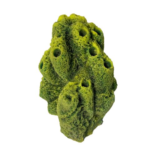 #619 Signature Sponge