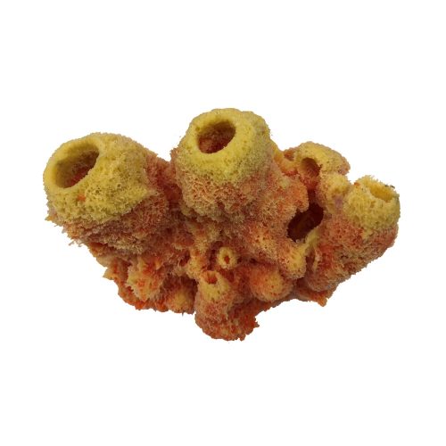 #625 Caribbean Sponge Cluster