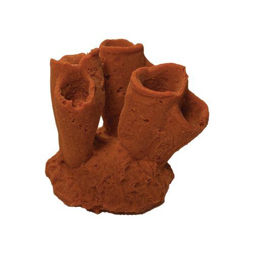 #626 Mini Sea Squirt