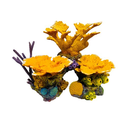 #1008 Large Caribbean Elkhorn Island