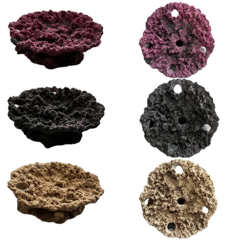 5 Hole Sandbed Acropora Plate Frag Rock