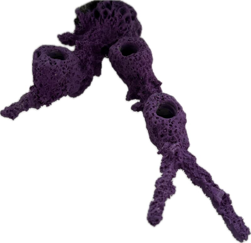 3 Hole Acropora Magnetic branch coral frag plug rock - Image 2